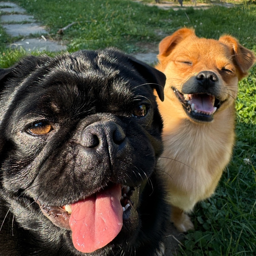 The boyz
